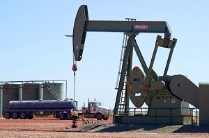 Nigeria: Group Tasks Govt On Crude Oil Discovery in Niger State