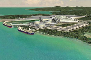 Ministry urged to speed up Tanzanian's Liquefied Natural Gas project