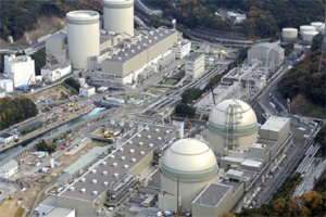 South Africa mulls constructing 10 nuclear power plants