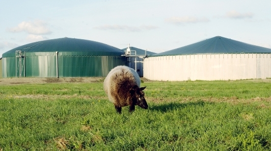 Biogas a viable means of renewable energy in Nigeria – WAAPP