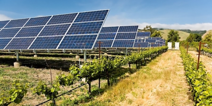 Ambitious plans to electrify Africa launched in Davos